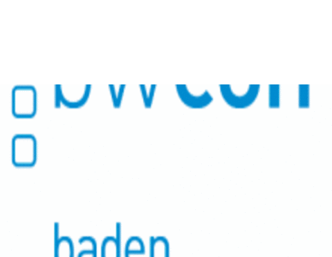 Logo der Wirtschaftsinitiative Baden-Württemberg Connected